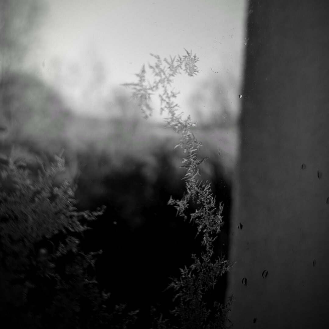 black and white photo of ice crystals on a window.