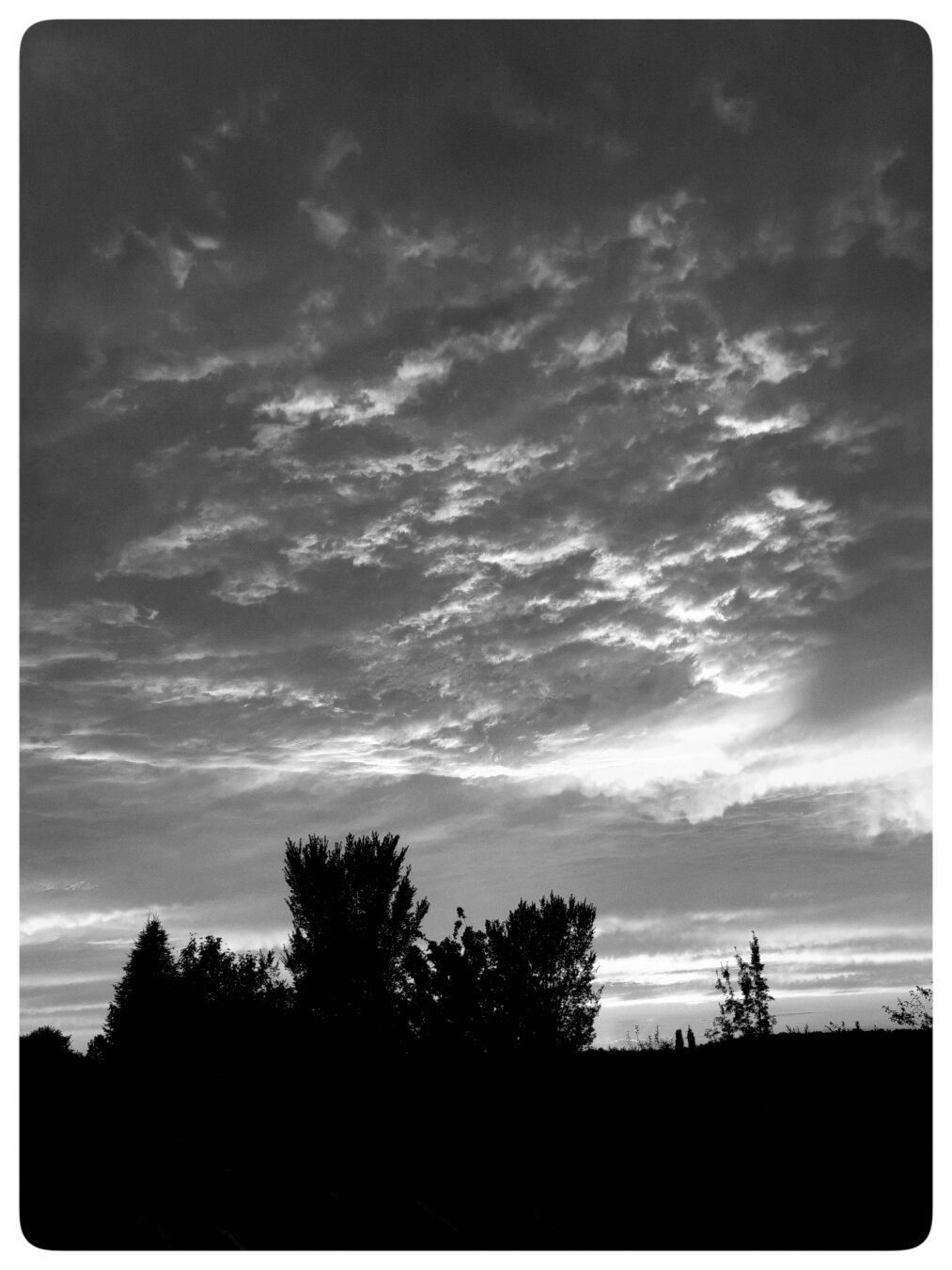 Black and white photo of a dramatic sky lit by a sunset.almost black silluetes of plant and trees in the foreground bottom.