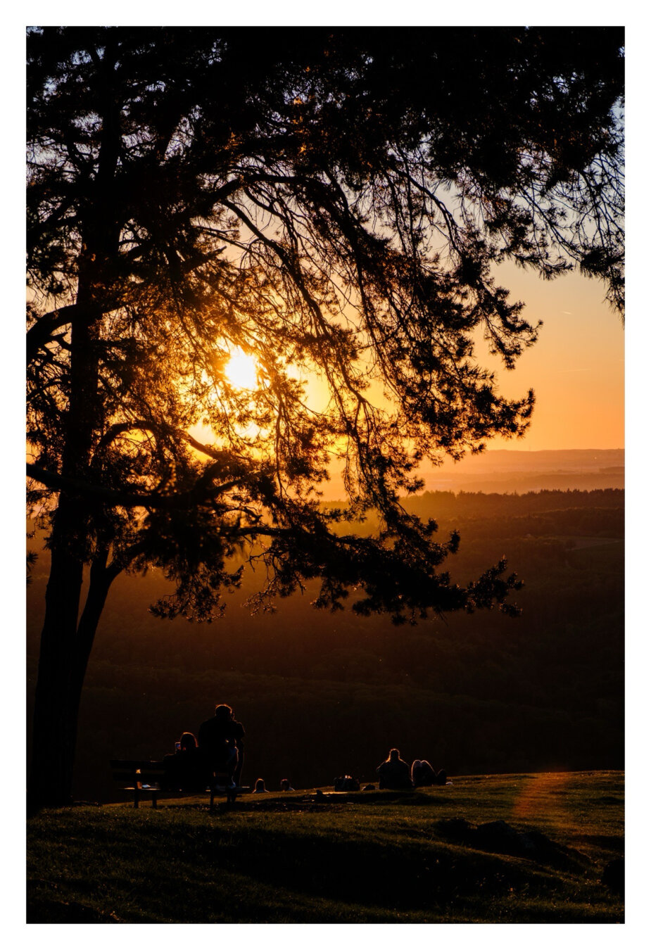 Foto im Hochformat. Sonnenuntergang über einer weitläufigen Landschaft. Mehrere Menschen sitzen unter einem Baum und schauen Richtung Sonnenuntergang. Die Silhouette des Baumes nimmt einen großen Teil des Bildes ein, die Sonne scheint durch die Äste. Der Himmel ist orange-gelb.