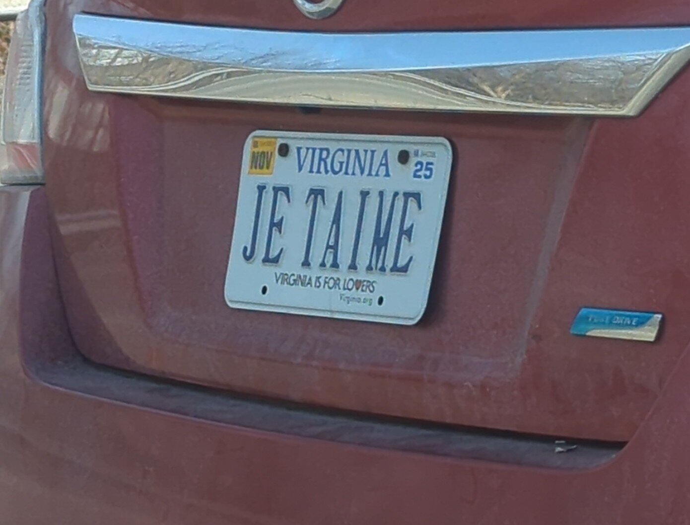 Vanity license plate reading 