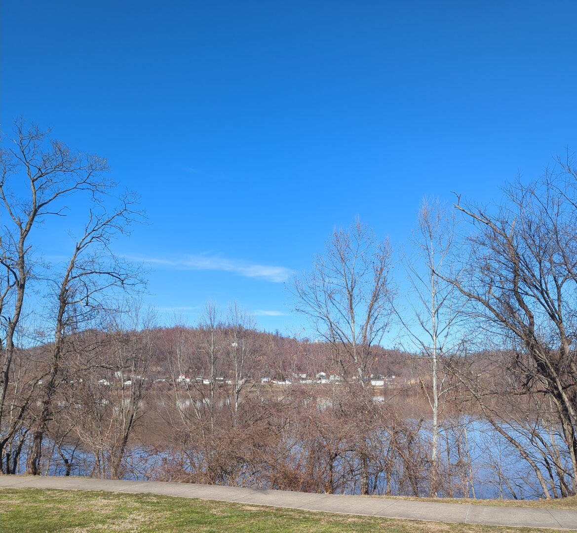 A picture of a nice sunny day, showing trees before a river and a clear sky