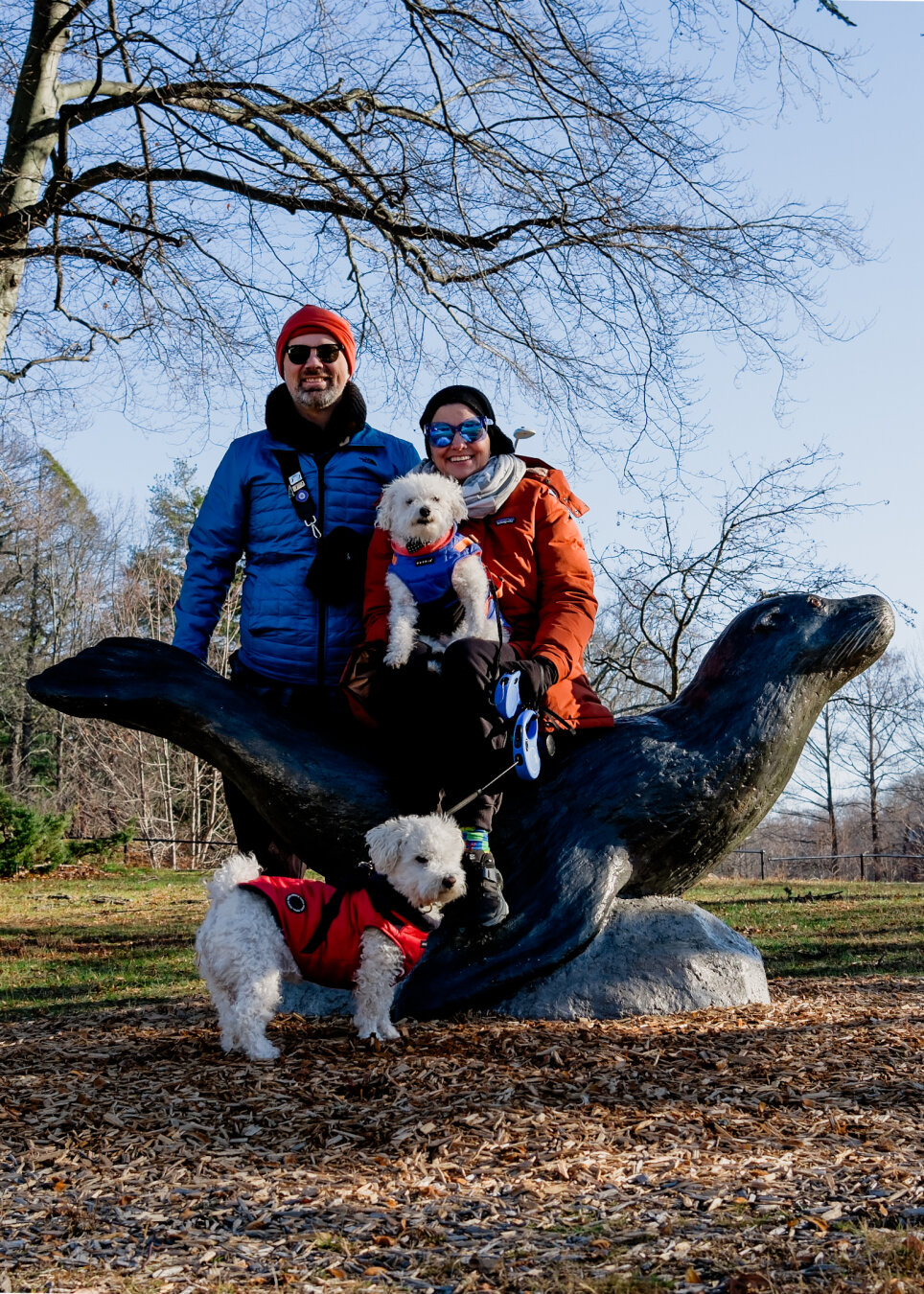 We're wishing all of our friends & family a happy and healthy holiday season and upcoming year. We're excited for all the adventures 2026 has in store for us. 
#adventureDogs #wanderPups #CirrusMcFluffington #MagnusMcFluffington #McFluffs #holidayWishes