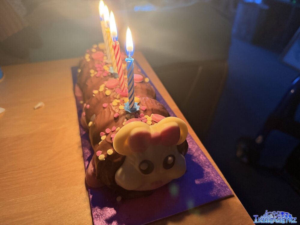 Connie the Caterpillar chocolate cake in the dark with 4 lit candles on it