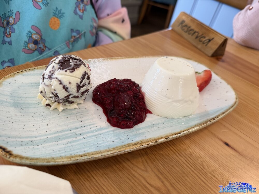 Vanilla Panacotta with raspberry coulis and mint choc ice cream