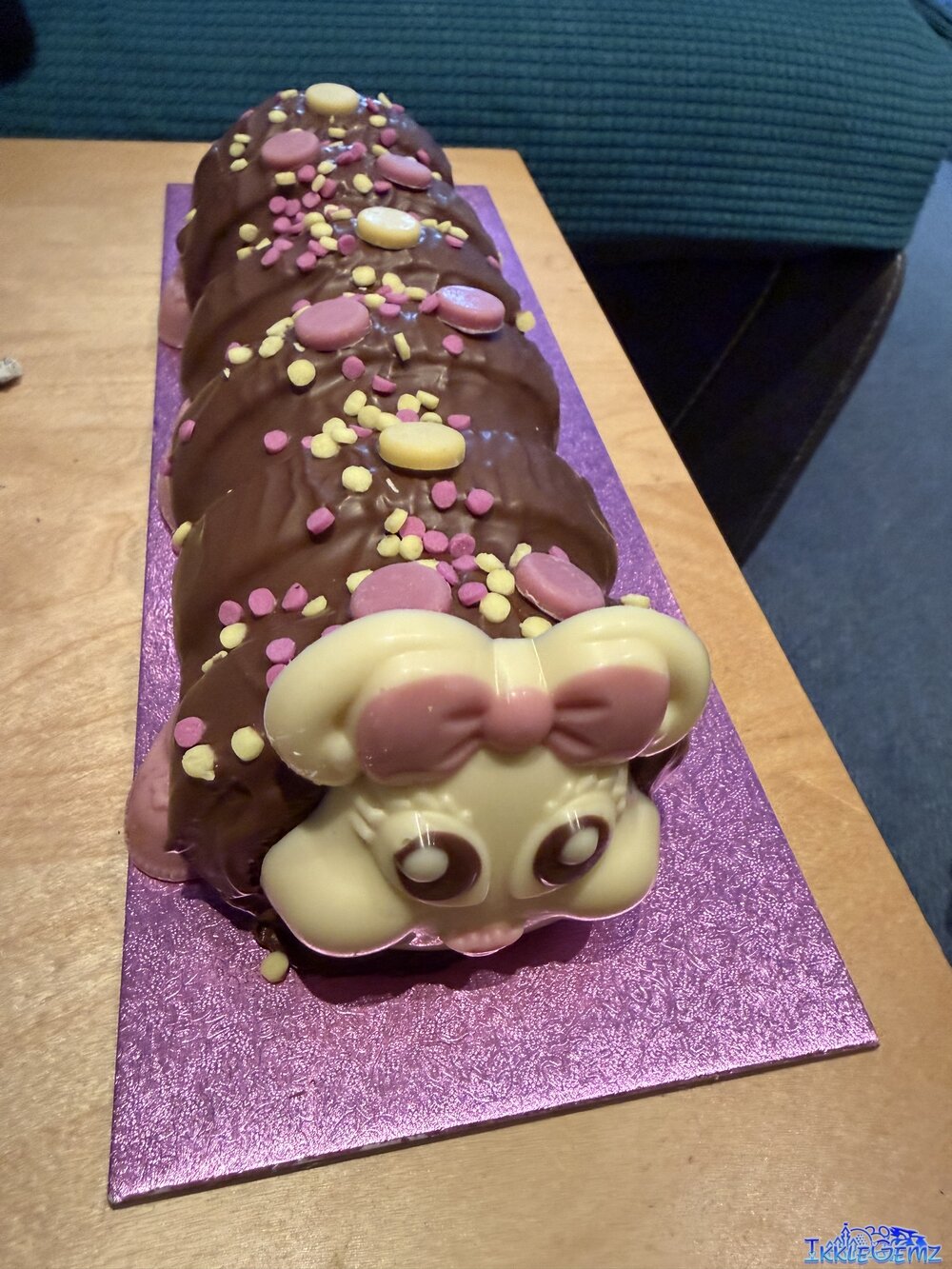 Connie the Caterpillar chocolate cake