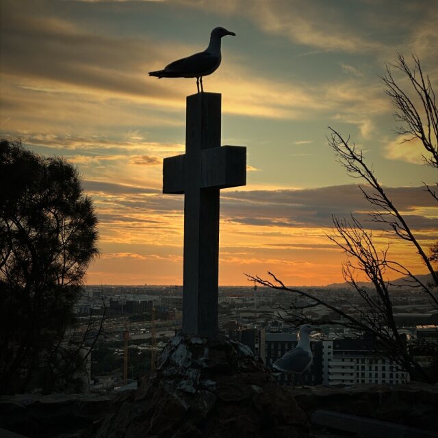 Gaviota posada en lo alto de una cruz de piedra recortada contra un cielo de atardecer naranja. Abajo, una ciudad portuaria se extiende en el llano con grúas y edificios bajos. Otra gaviota la mira desde el suelo. Algunas siluetas no necesitan más que estar contra el cielo.