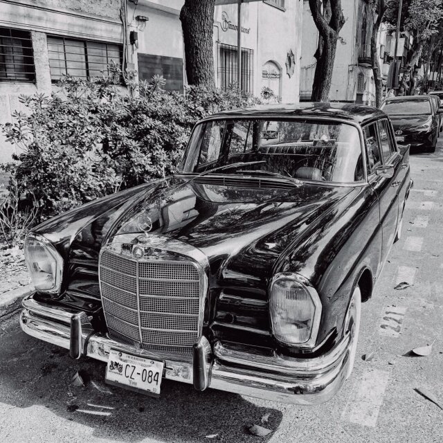 Mercedes-Benz clásico de los años sesenta aparcado en una calle arbolada, cromados pulidos y carrocería negra reluciente, fotografiado en blanco y negro. La matrícula CZ-084 cuelga del paragolpes. Algunos coches no envejecen: se quedan esperando que alguien sepa montárselos.