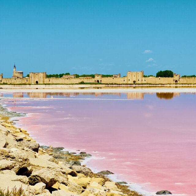 Aigues-Mortes vista desde una salina: el agua de la balsa es rosa intenso, casi irreal, y devuelve el cielo en una banda más pálida; al fondo, la muralla medieval entera con sus torres redondas y cuadradas almenadas se alarga horizontal contra el azul del cielo. La geografía a veces se equivoca de paleta y nadie la corrige.