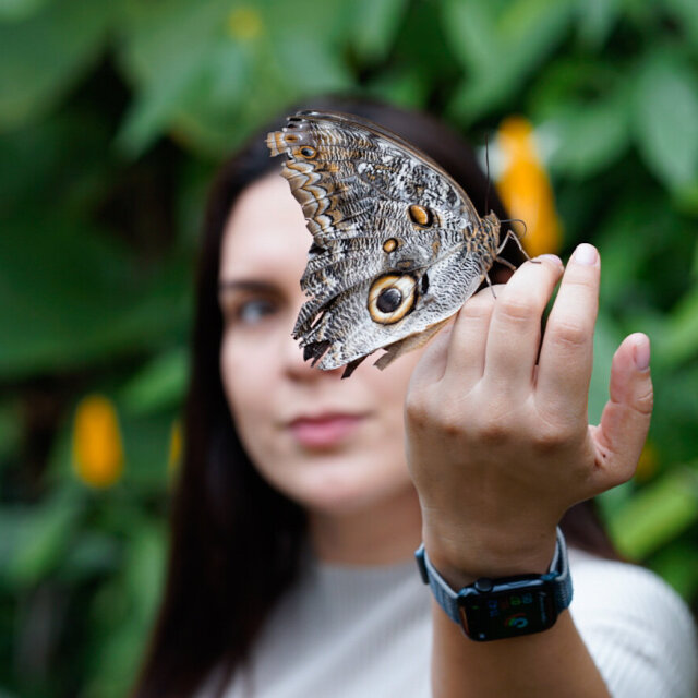 Mariposa de gran tamaño con un ojo dibujado en el ala, posada sobre la mano levantada de una joven que aparece desenfocada al fondo entre vegetación. El insecto le tapa la mitad de la cara y la observa más que ella a él. Hay encuentros que invierten la jerarquía sin avisar.