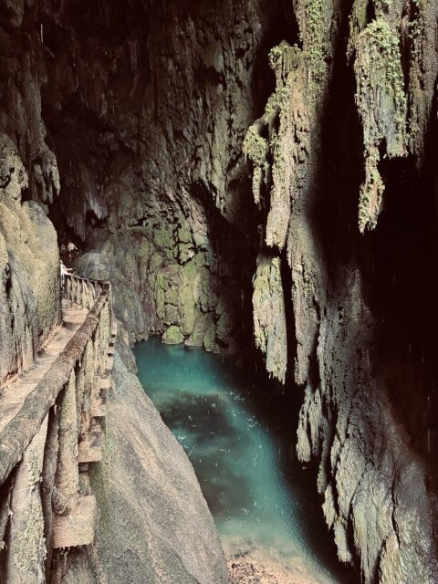 Pasarela de troncos pegada a la pared rocosa, abajo un pozo de agua turquesa que apenas refleja porque caen gotas sobre él. Helechos colgantes lloran desde la bóveda. La caverna esconde su luz en el fondo del agua, no en el cielo que ya no existe.