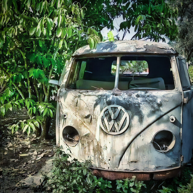 Una furgoneta Volkswagen T1 oxidada y descascarillada descansa entre la vegetación tropical; los faros redondos sin cristales miran al frente como ojos vacíos. Sobre el techo, una rama larga ha empezado a crecer hacia dentro. La pintura blanca queda como un mapa de continentes que ya nadie va a redibujar.