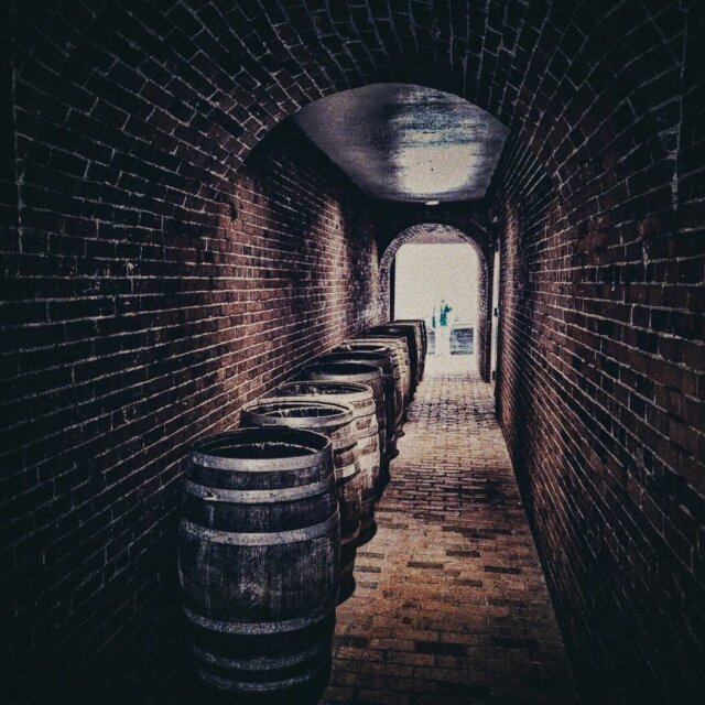 Túnel abovedado de ladrillo con barricas de roble alineadas a un lado y luz blanca al fondo. La perspectiva en fuga arrastra la mirada hacia la salida sin disimulo. Lo que se guarda ahí dentro tiene el tiempo de su parte.