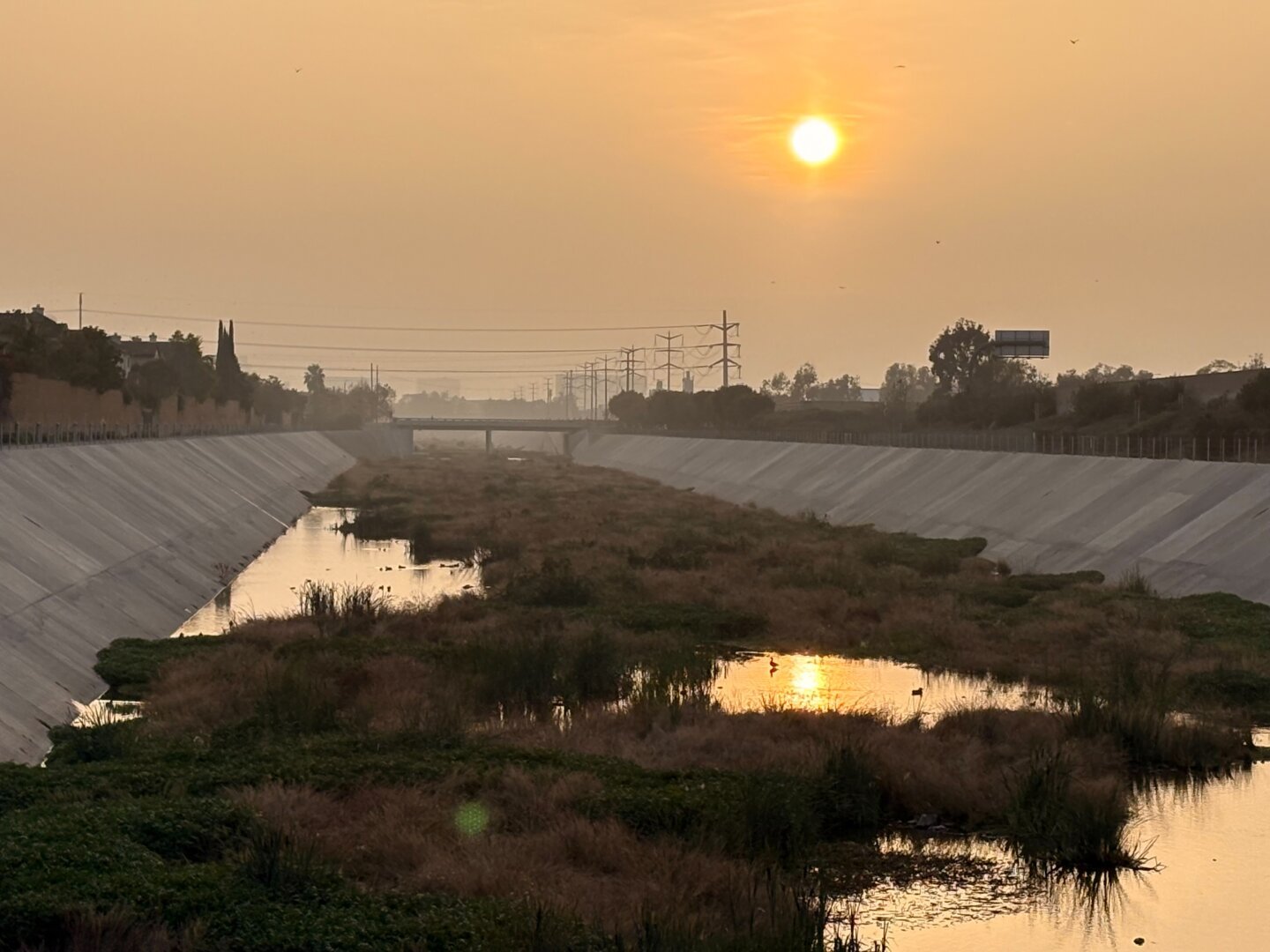 Sunset over a channel in California. The setting sun is reflected in the water between the plants. Shot on iPhone 16