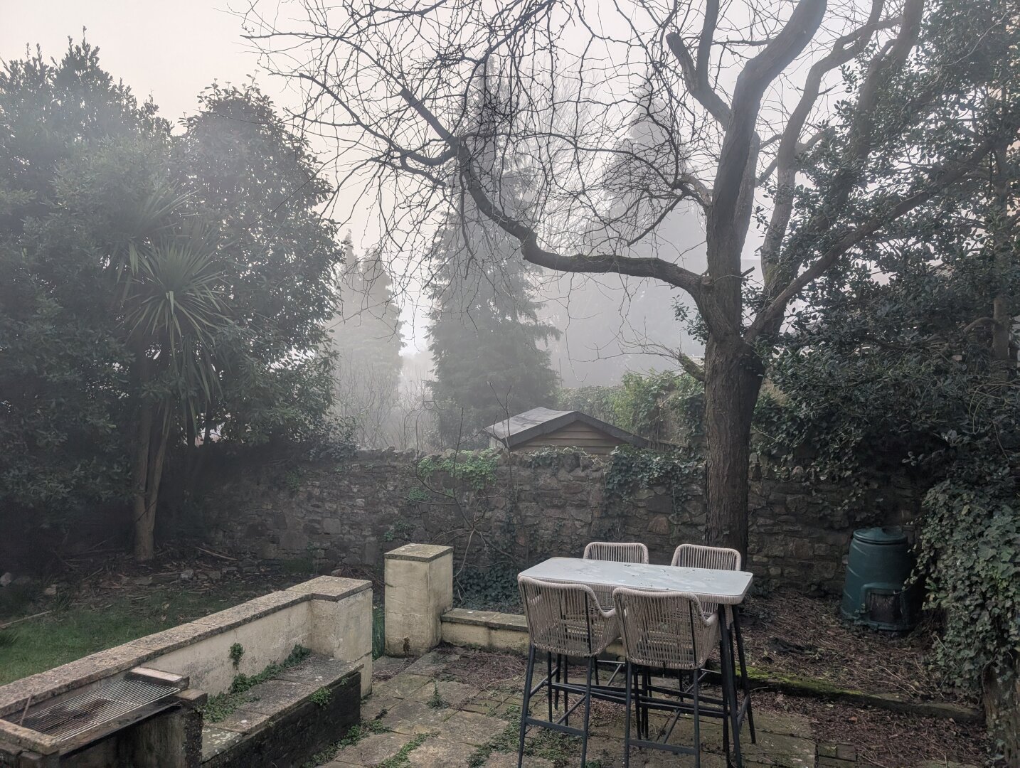 A foggy morning shading tall confiers in varying amounts of gray.