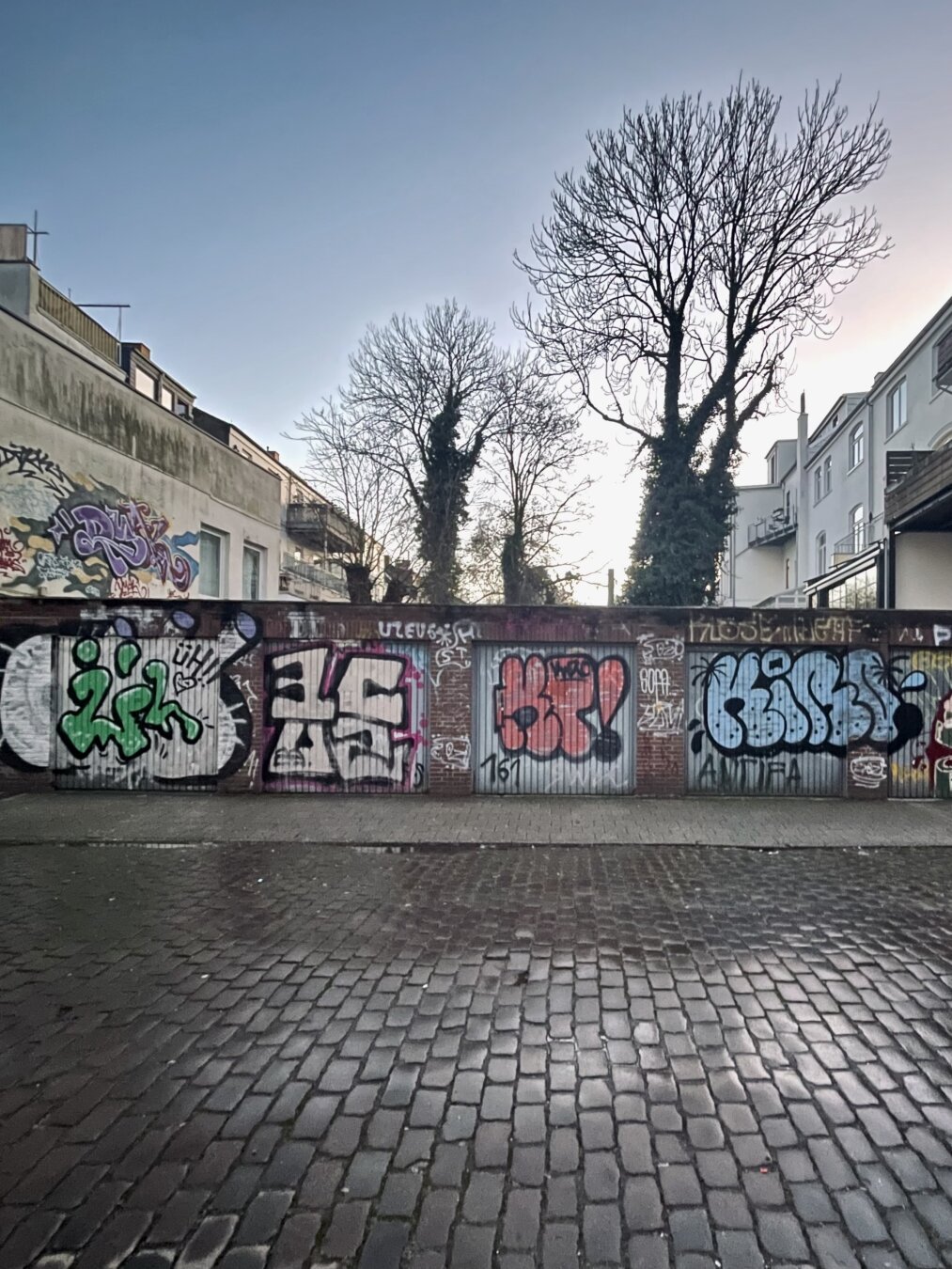 In der unteren Hälfte eine Straße mit Kopfsteinpflaster. Mittig ein Fußweg und mehrere Garagen. Diese sind jeweils mit Graffiti besprüht. Dahinter an den Seiten die Rückseiten Altbremer Häuser. In der Mitte Bäume und dämmernder Himmel.