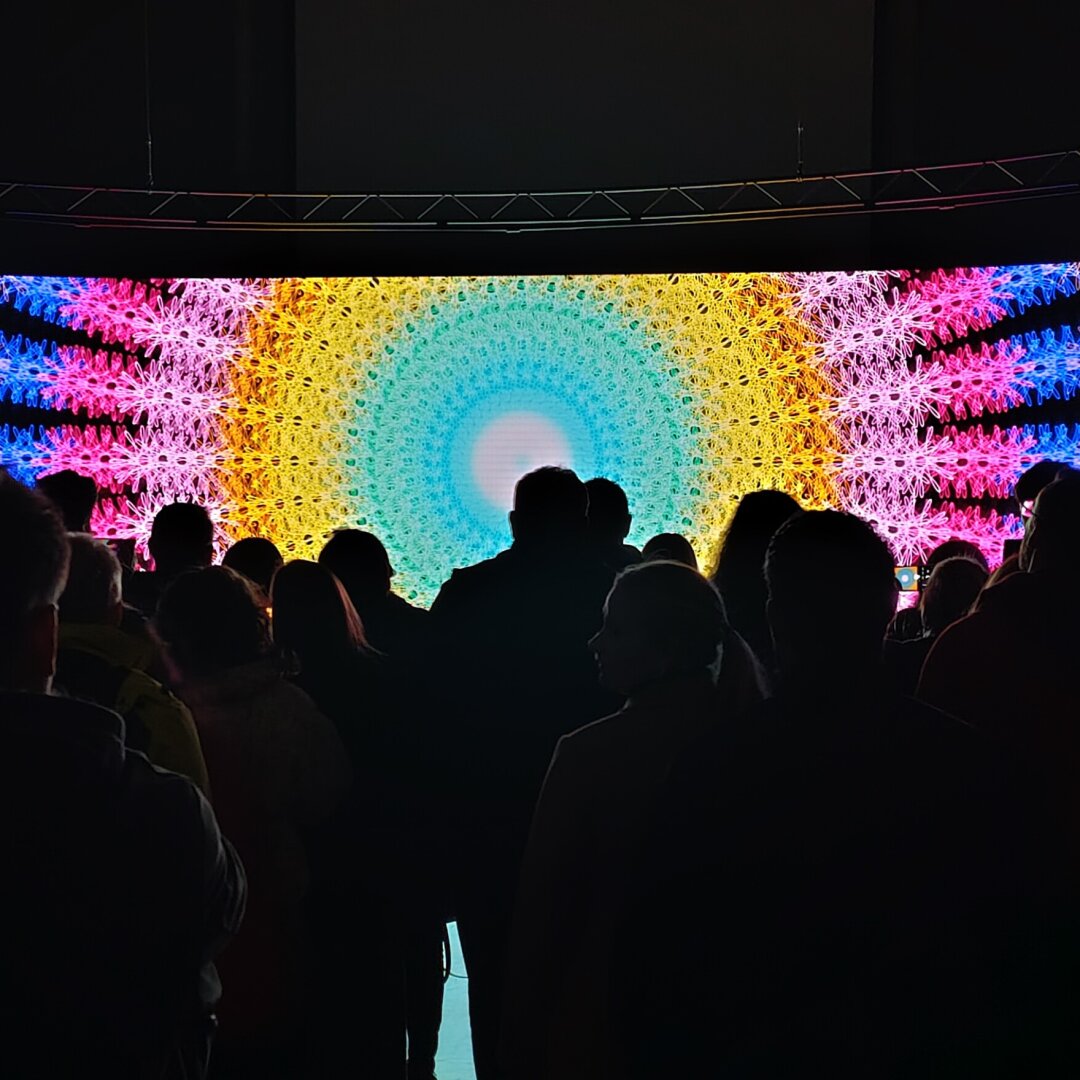 Silhouetted people looking at a wide screen showing colourful spirograph patterns.