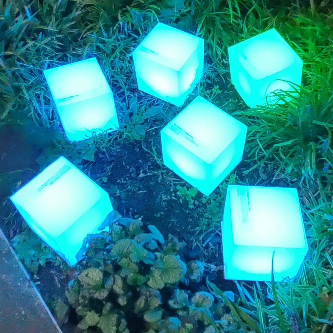 Six glowing bluey-green cubes sat amongst grass and planting. Each one was pulsing in time with a different person's heart beat.