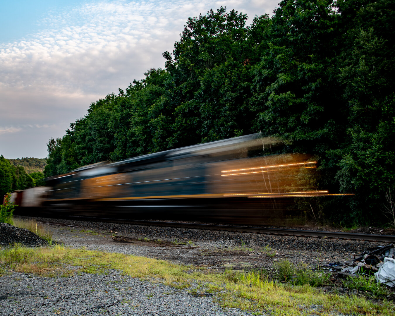In a forested area, at blurred shape that resembles a train moving fast is a track