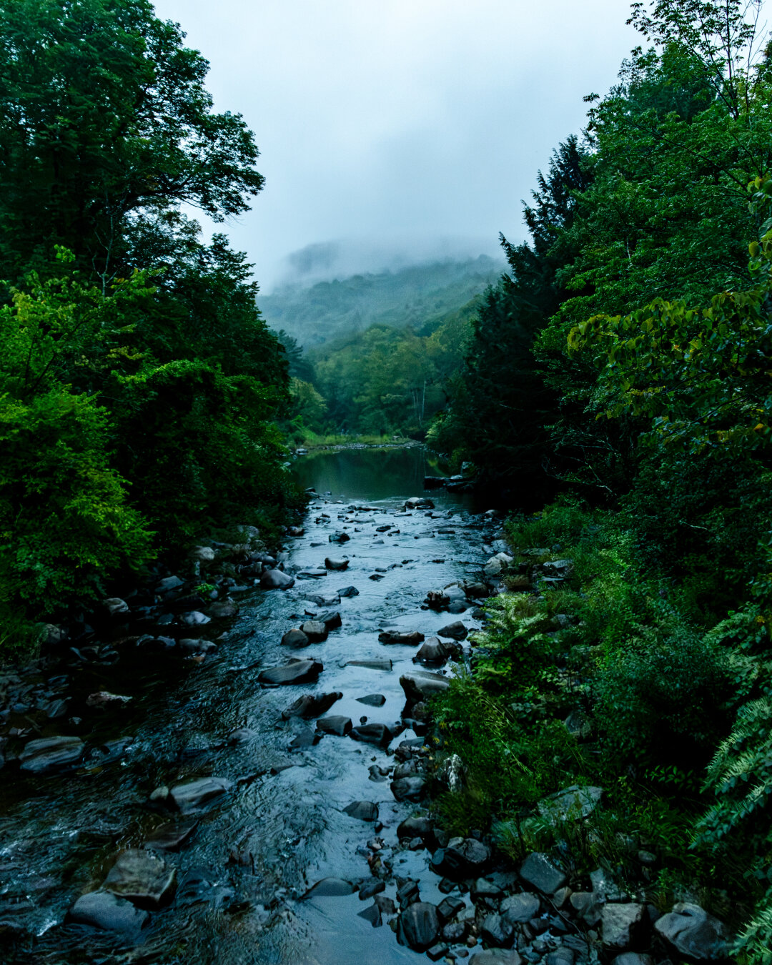 From above a foggy river with green trees on both sides and a mountain hidden by misty fog, make it very atmospheric