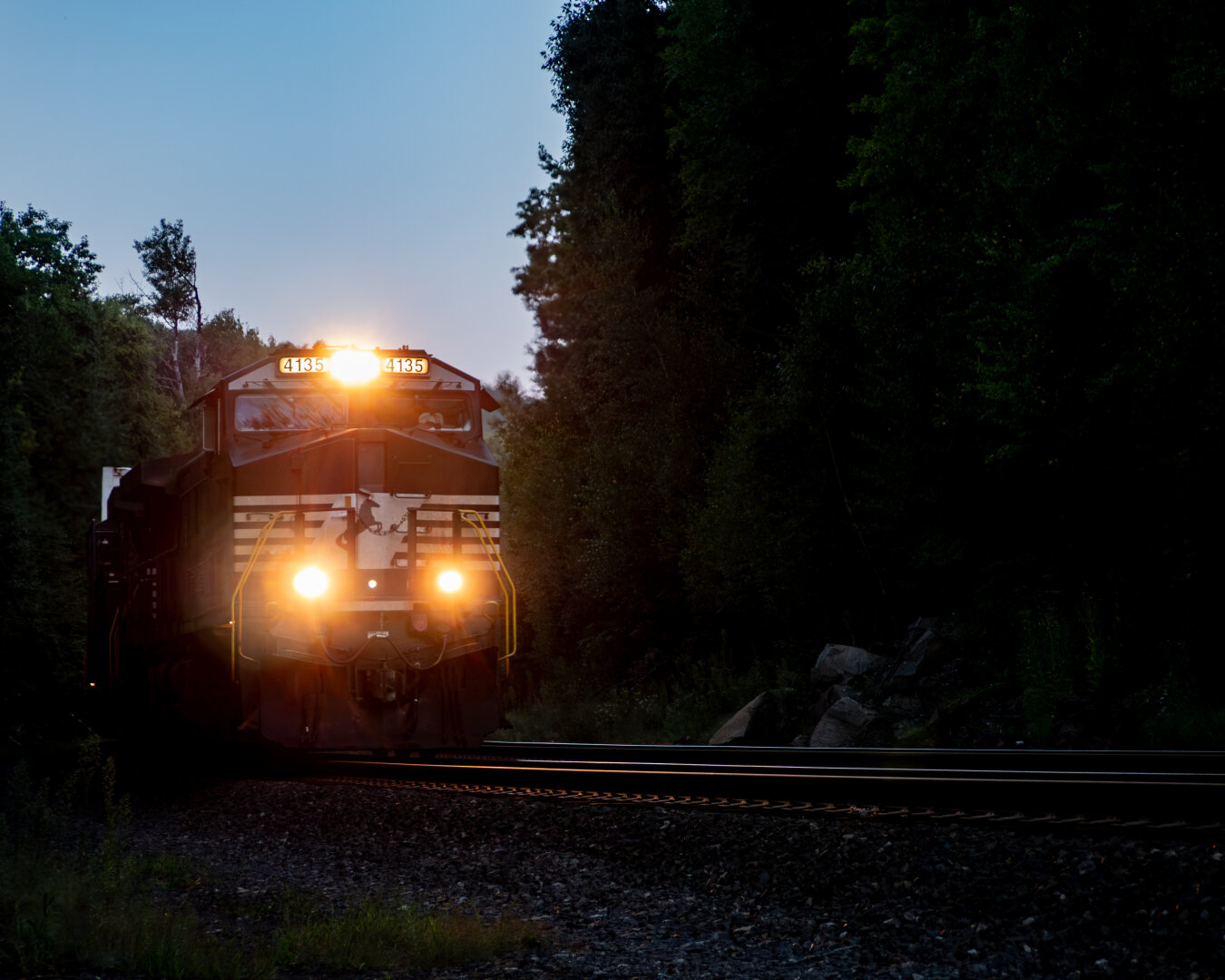 A train with glowing lights cuts through a twilight scene in a forested area