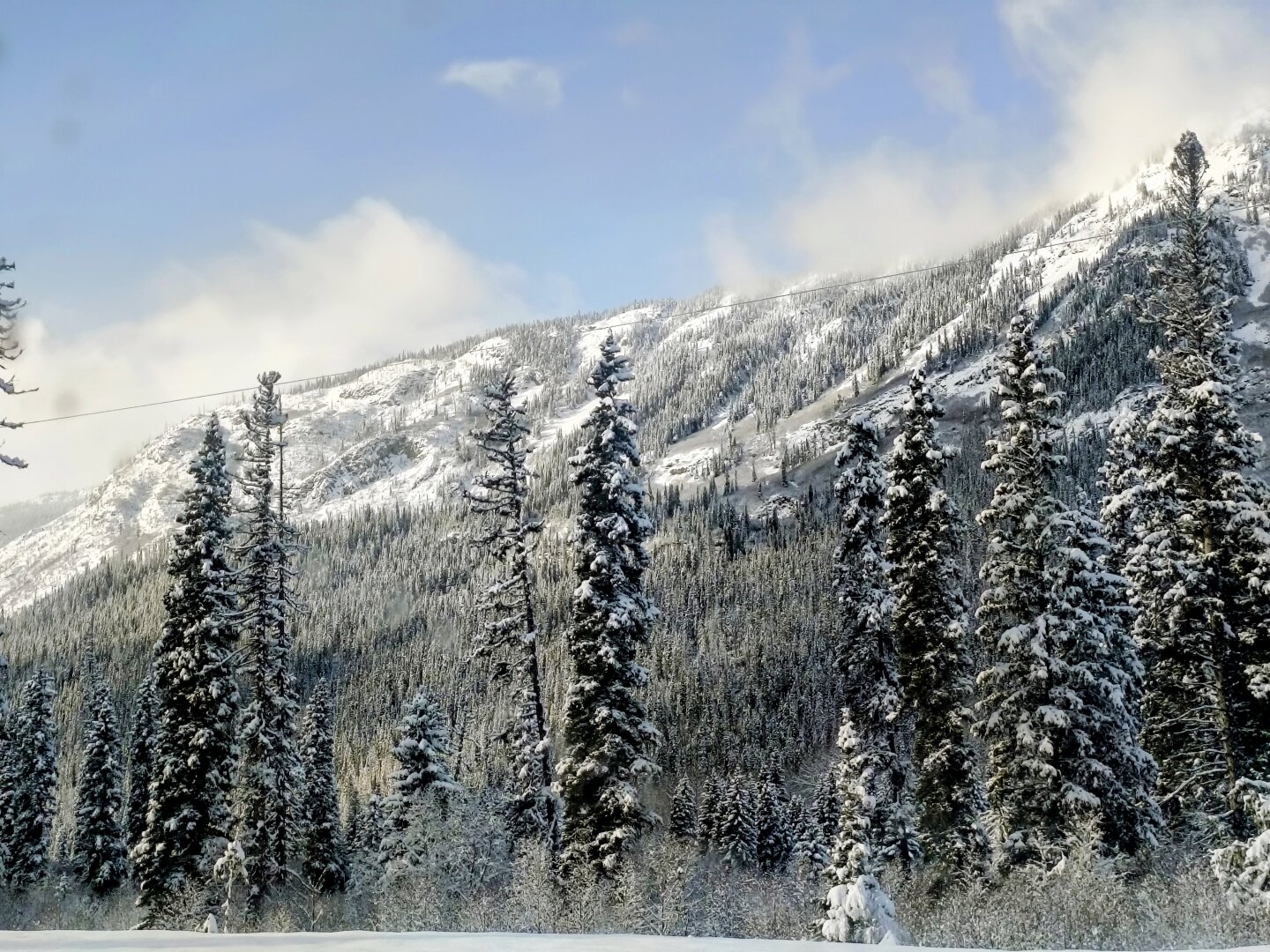 Showing a mountain ridge in the distance covered with snow and trees. Closer there are snow covered pines