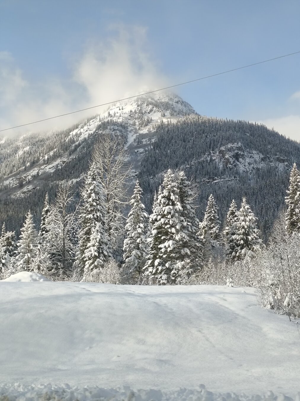 Showing a mountain covered with snow and trees. The sky is blue and you can see the snow blowing off of the peak. Closer, there are more snow covered pines and a snowy field.