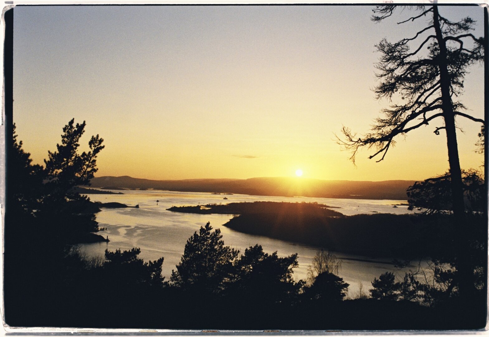 A photo of a sunset over the fjords, trees and water. The sky is brightly orange, with the sun slightly to the right side of the image, behind a mountain. In the foreground there's silhouettes of trees, in the mid ground and background there's silhouettes of fjords and mountains.