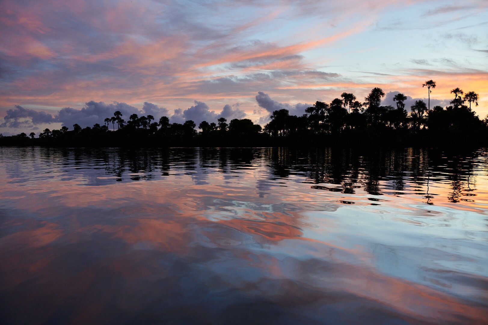 The front 2/3 of the photo show the water of a river reflecting the the colorful sky and the black palm trees from the opposite river bank against the sunrise behind the trees. The remaining 1/3 of the photo shows the early morning light blue sky and orange over pink to purple clouds.