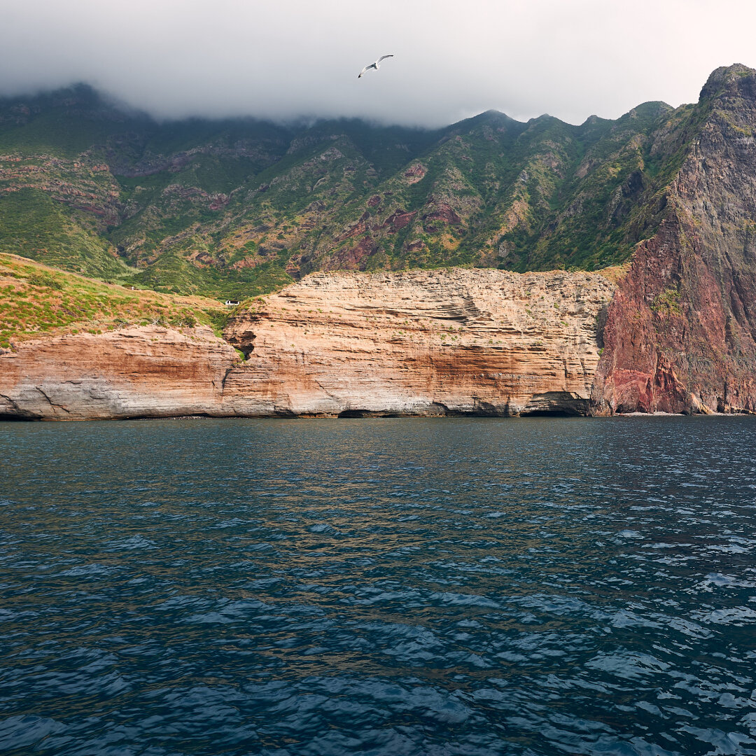 The photo shows the mountainous island of Salina in the background. Parts of the mountain, where the stone is visible, are either brown-reddish to the right or yellowish in the middle, while the parts where plants grow is bright green. The top of the mountains are touching the clouds. In front of the island a single seagull is flying above the calm azure blue sea.