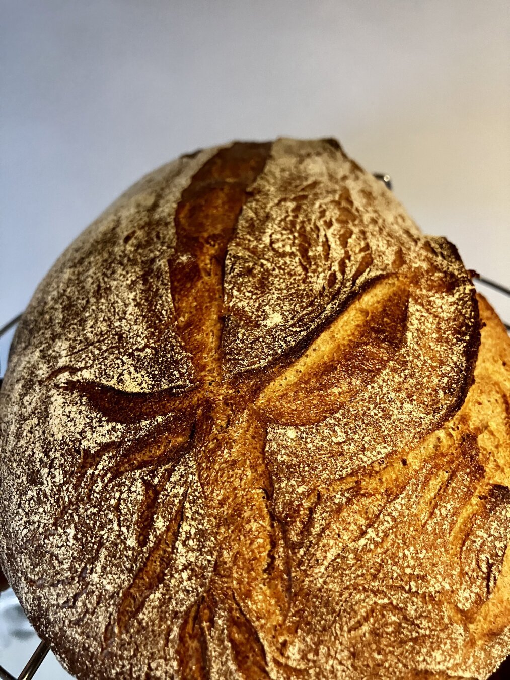 Hier ist ein Alt-Text für das Bild:

Ein Laib Sauerteigbrot mit einer hellbraunen Kruste und einer leichten Schicht Mehl darauf. Die Kruste ist eingeschnitten, um ein dekoratives Muster zu erzeugen, das an ein Blatt oder eine Ähre erinnert. Das Brot liegt auf einem Metallgitter, wahrscheinlich zum Abkühlen. Der Hintergrund ist unscharf und hell.

Bereitgestellt von @altbot@fuzzies.wtf, generiert mit Gemini