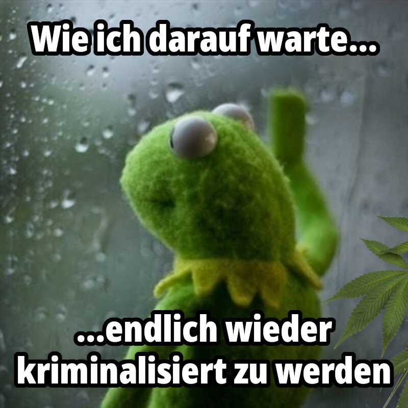 Kermit schaut aus einer verregneten Fensterscheibe 

Rechts am Rand sind Blätter der Cannabis-Pflanze zu sehen

Text:
Wie ich darauf warte endlich wieder kriminalisiert zu werden