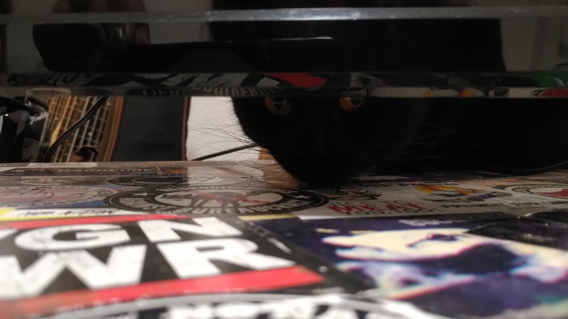 Photo of a cat looking through the gap between a black flat screen tv and a table with a lot of colorful stickers.