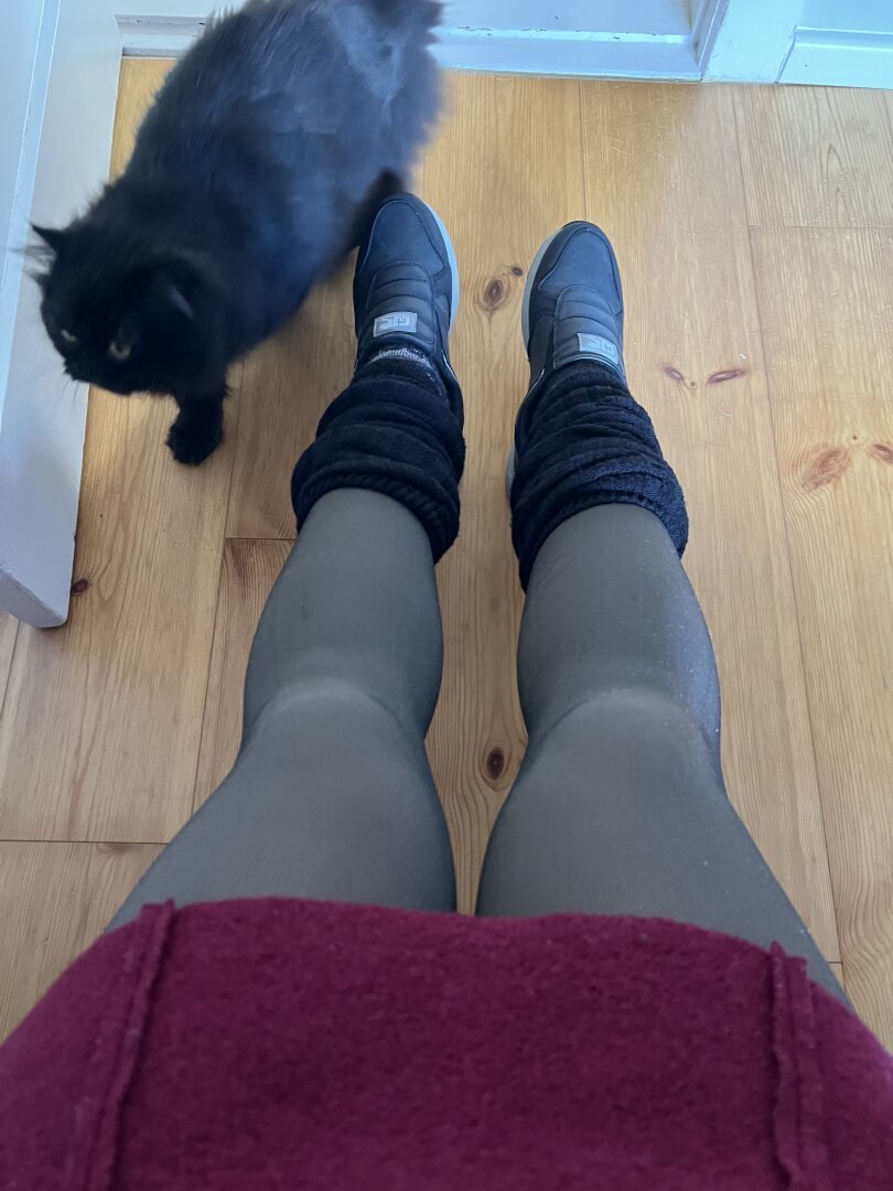 Picture from the hips down. Short, dark red woolen skirt, fake transparent tights, black leg warmers on the ankles and dark grey sneakers.
A black cat is walking by.