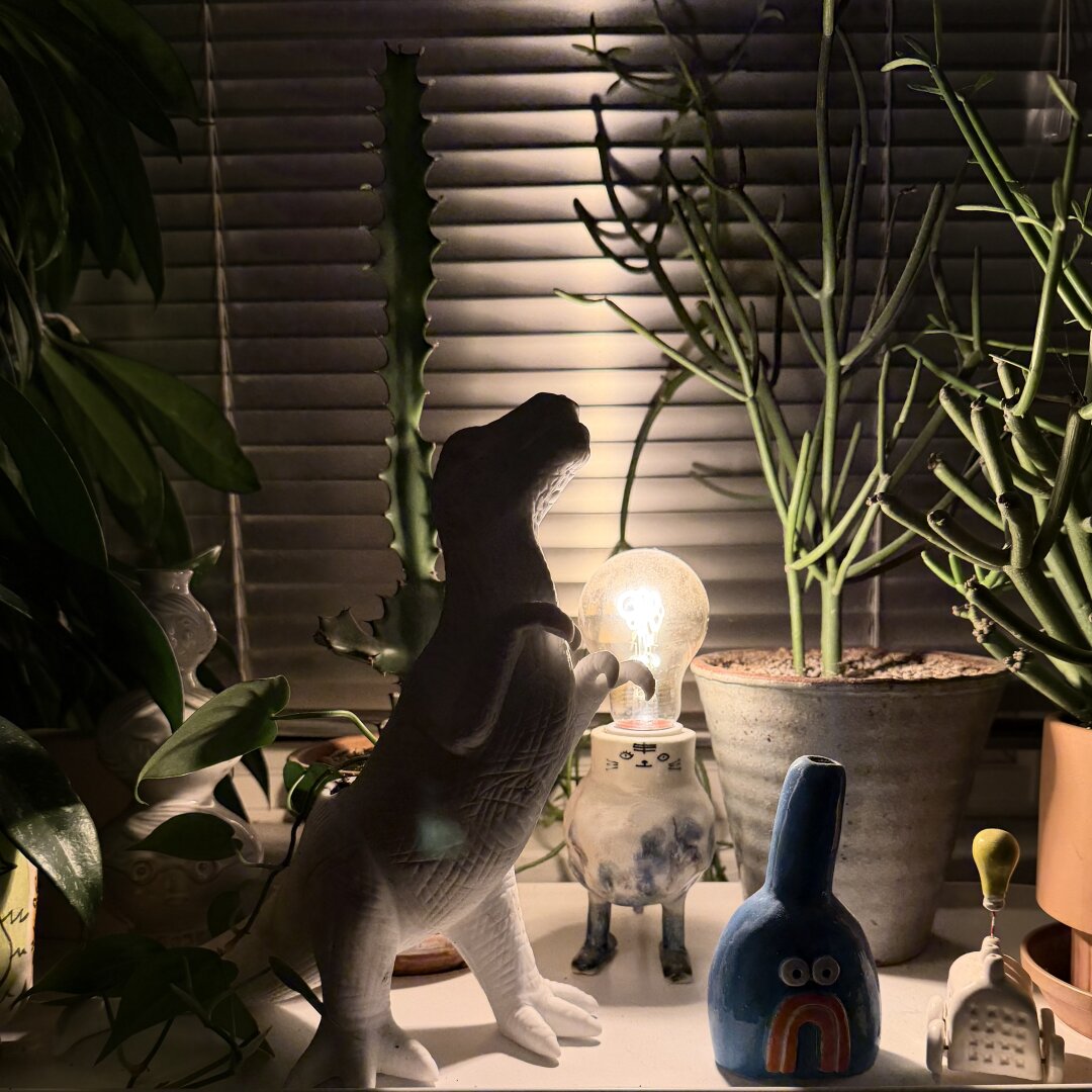 Dino planter