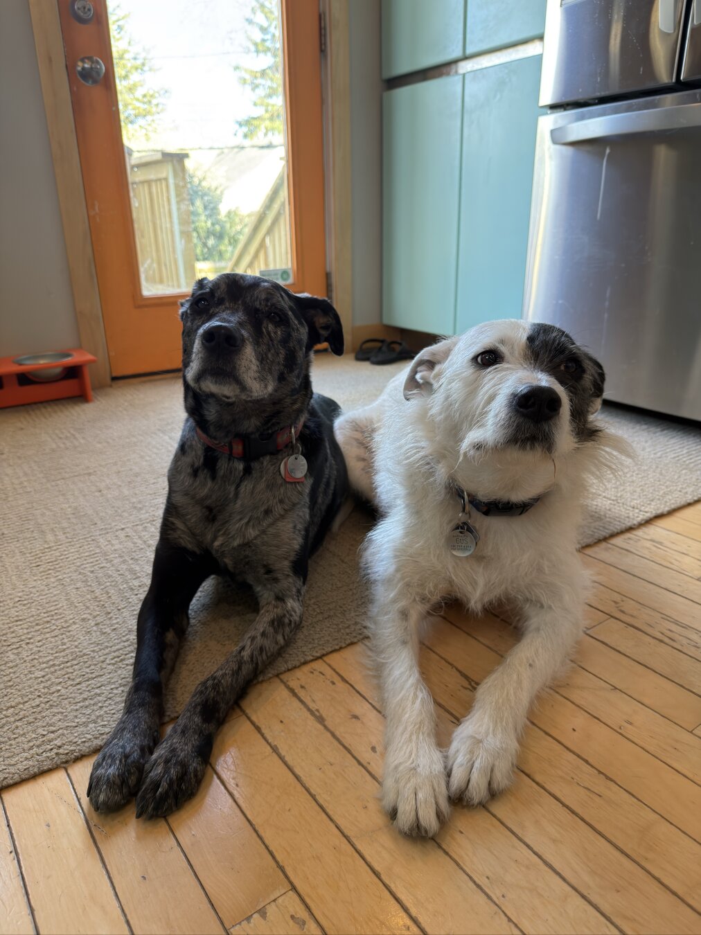 Rosie ‘n Gus