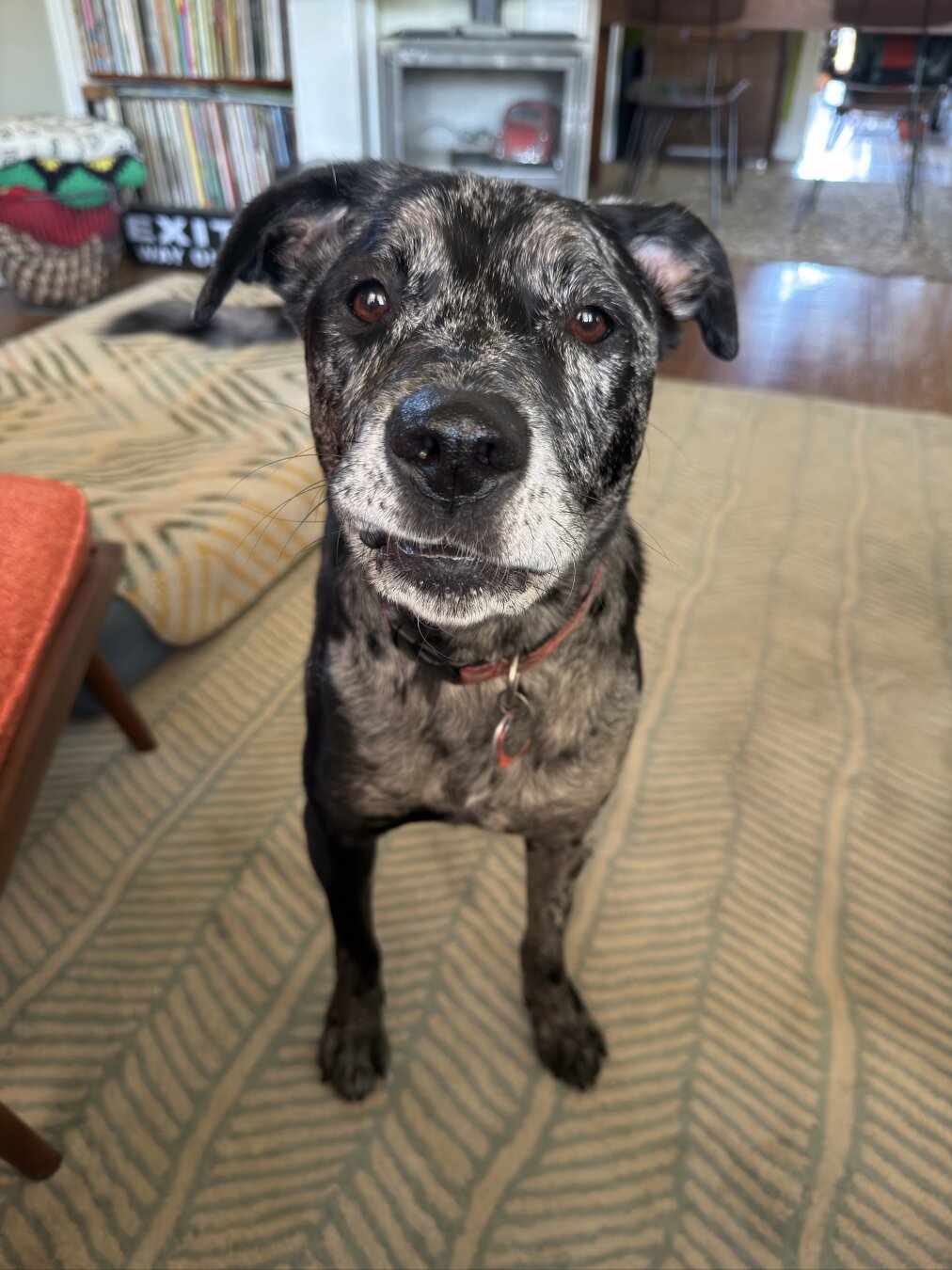 Lopsided grin