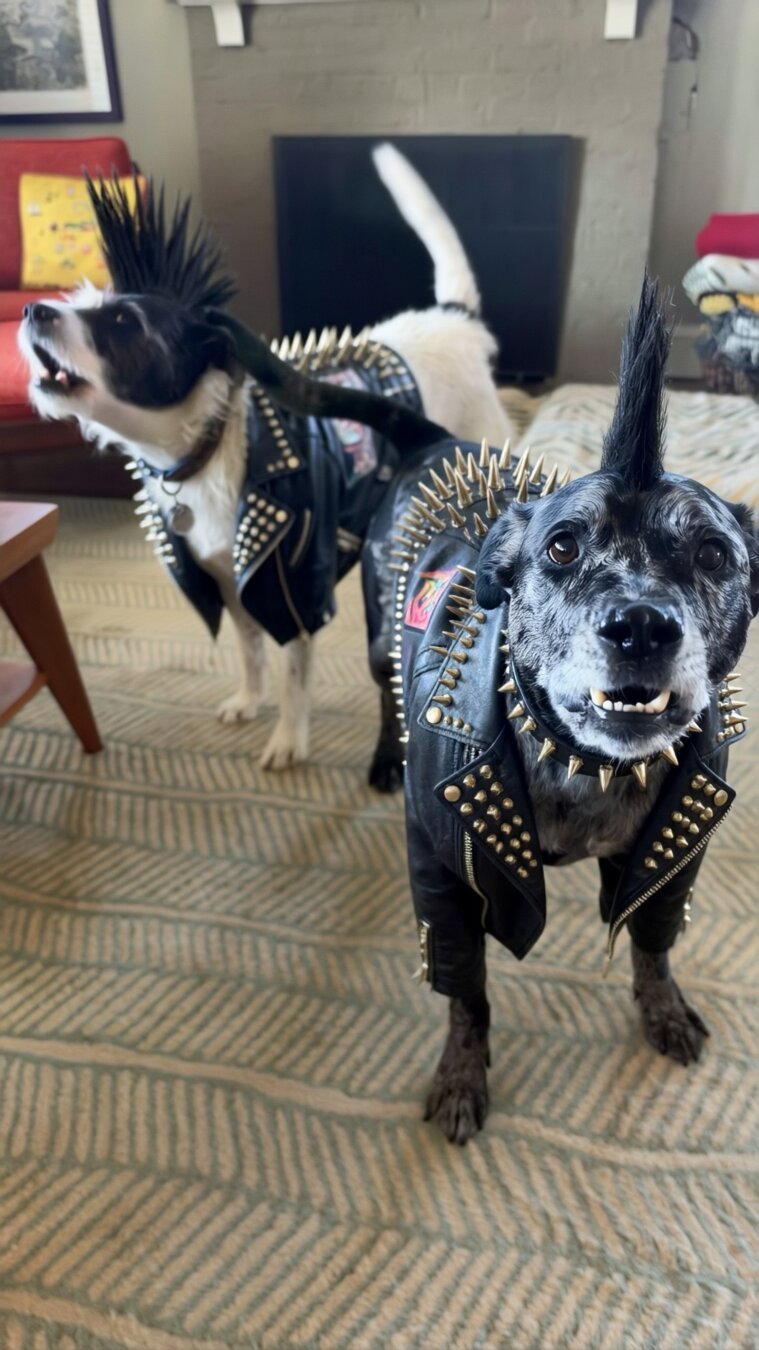 A Couple of Punks