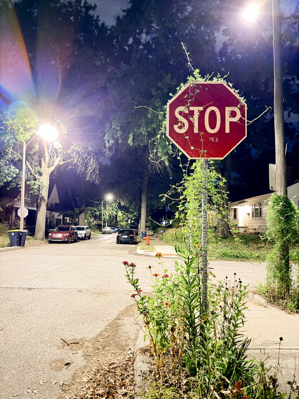 STOP