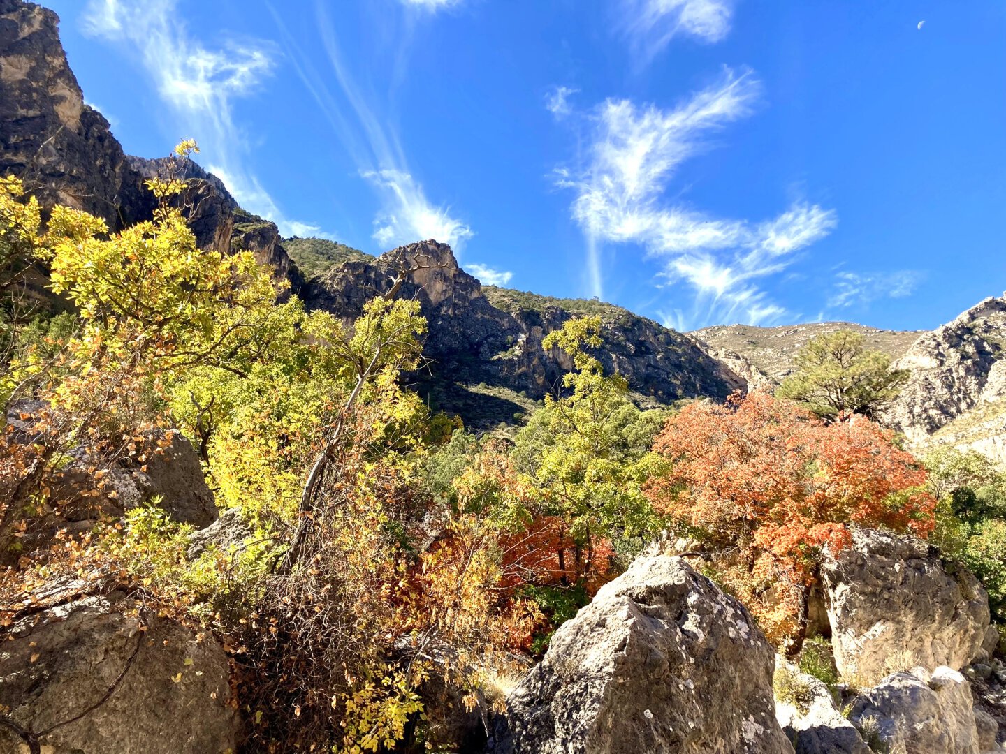 Boulders and autumn trees against a backdrop of desert mountains, with a bright blue sky and wispy clouds above