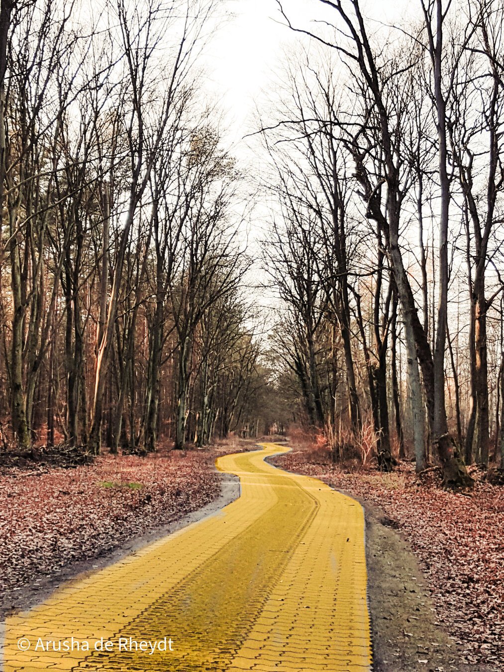 A new brick road winding through a winterly forest, 'painted' yellow.