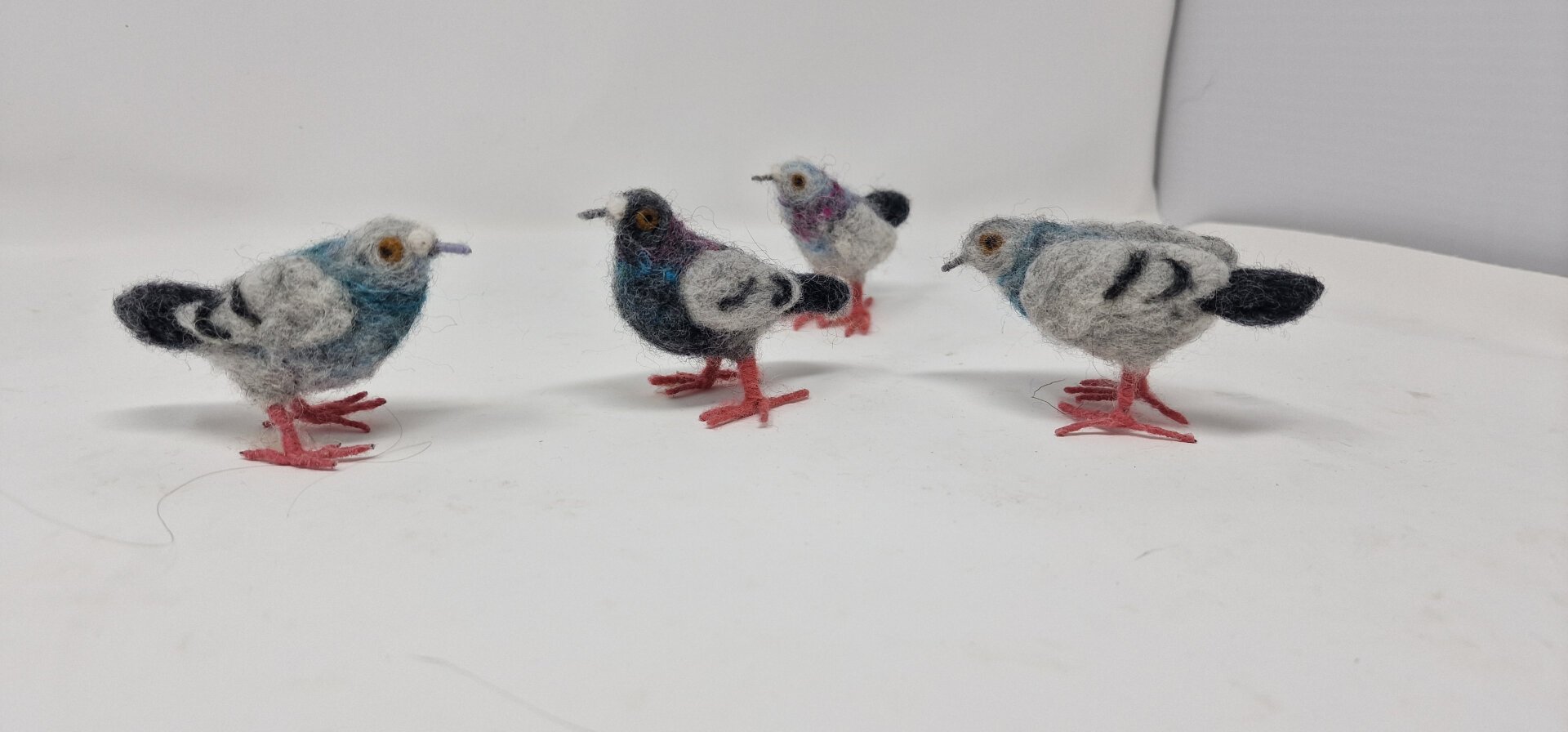 Some felt pigeons in a light box