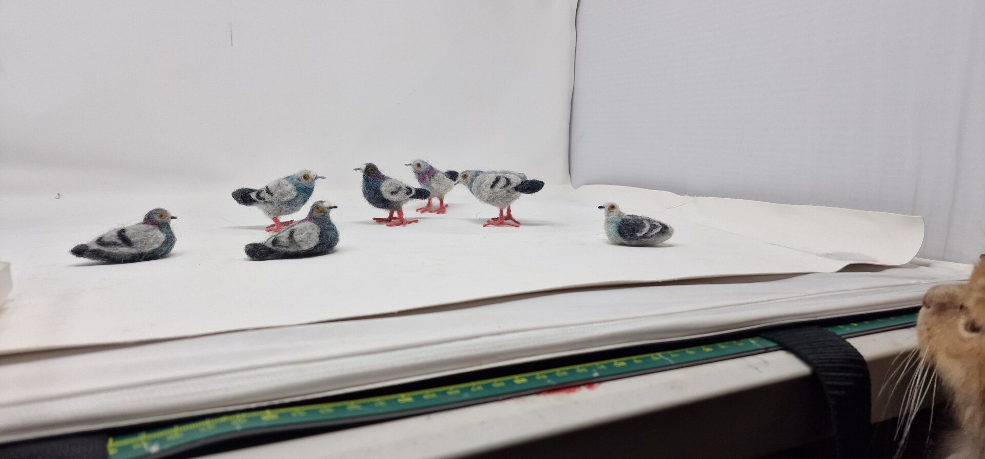 Felt pigeons in a light box. A cats face is in the corner of the shot