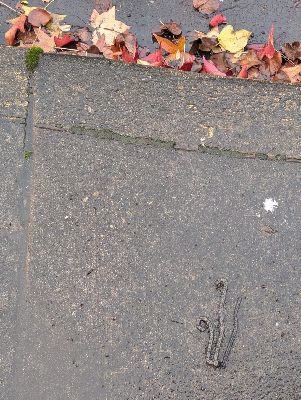 Bent metal on a wet sidewalk