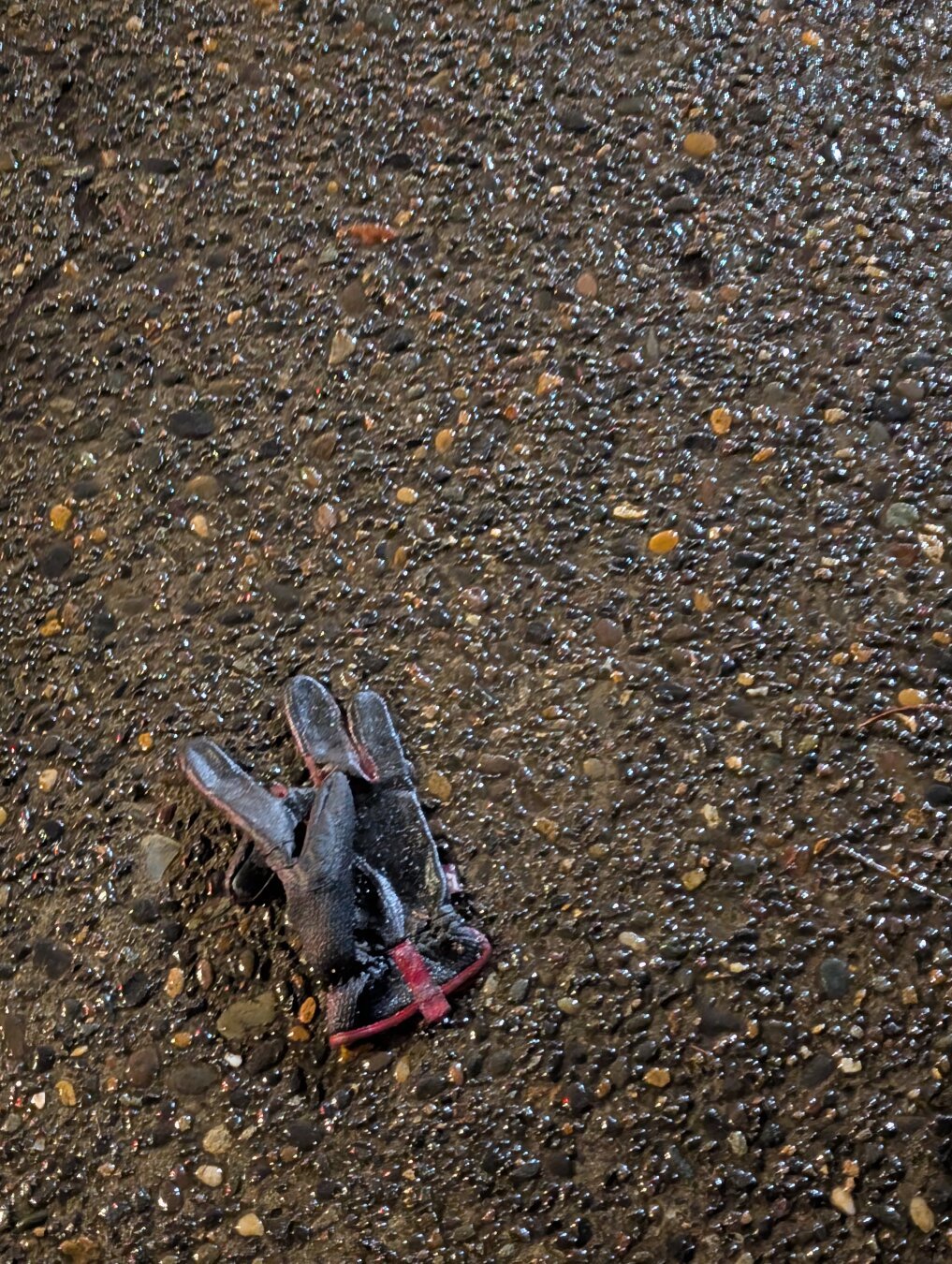 Wet glove on the street