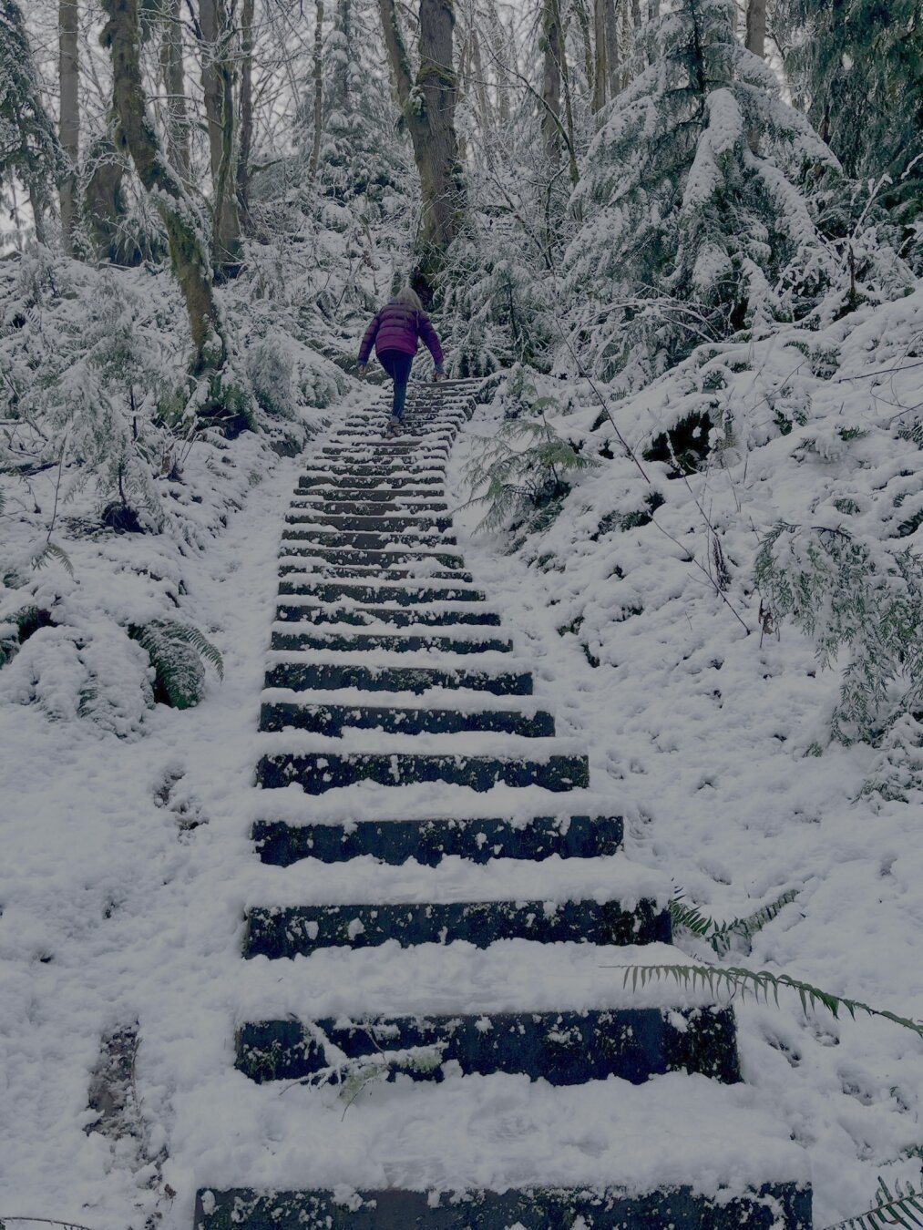 Hikers climbs a long series up snowy stairs.