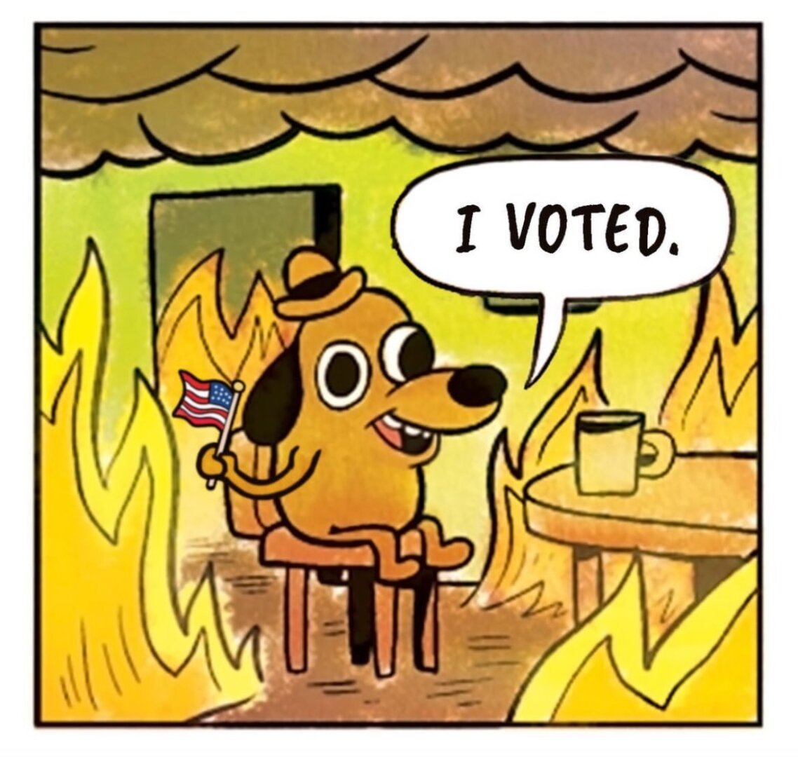 In the picture you can see a drawing of a dog ("this is fine" meme) sitting at a table. The dog wears a small hat and holds a small American flag in his hand. Around him it burns brightly.

The dog says in a speech bubble: "| Voted." On the table in front of him is a Cup.
