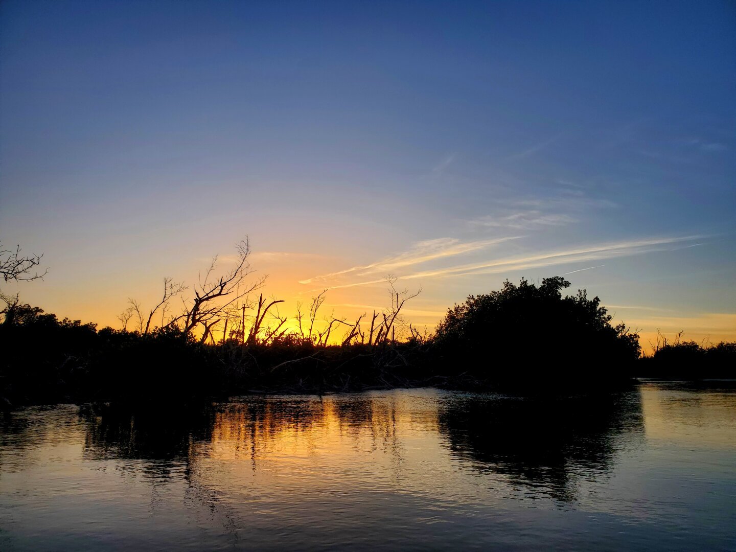 Silhouettes of low trees in front of a sunset, sky a deep, darkening blue above, rippling water reflecting the trees and sunset in the foreground.