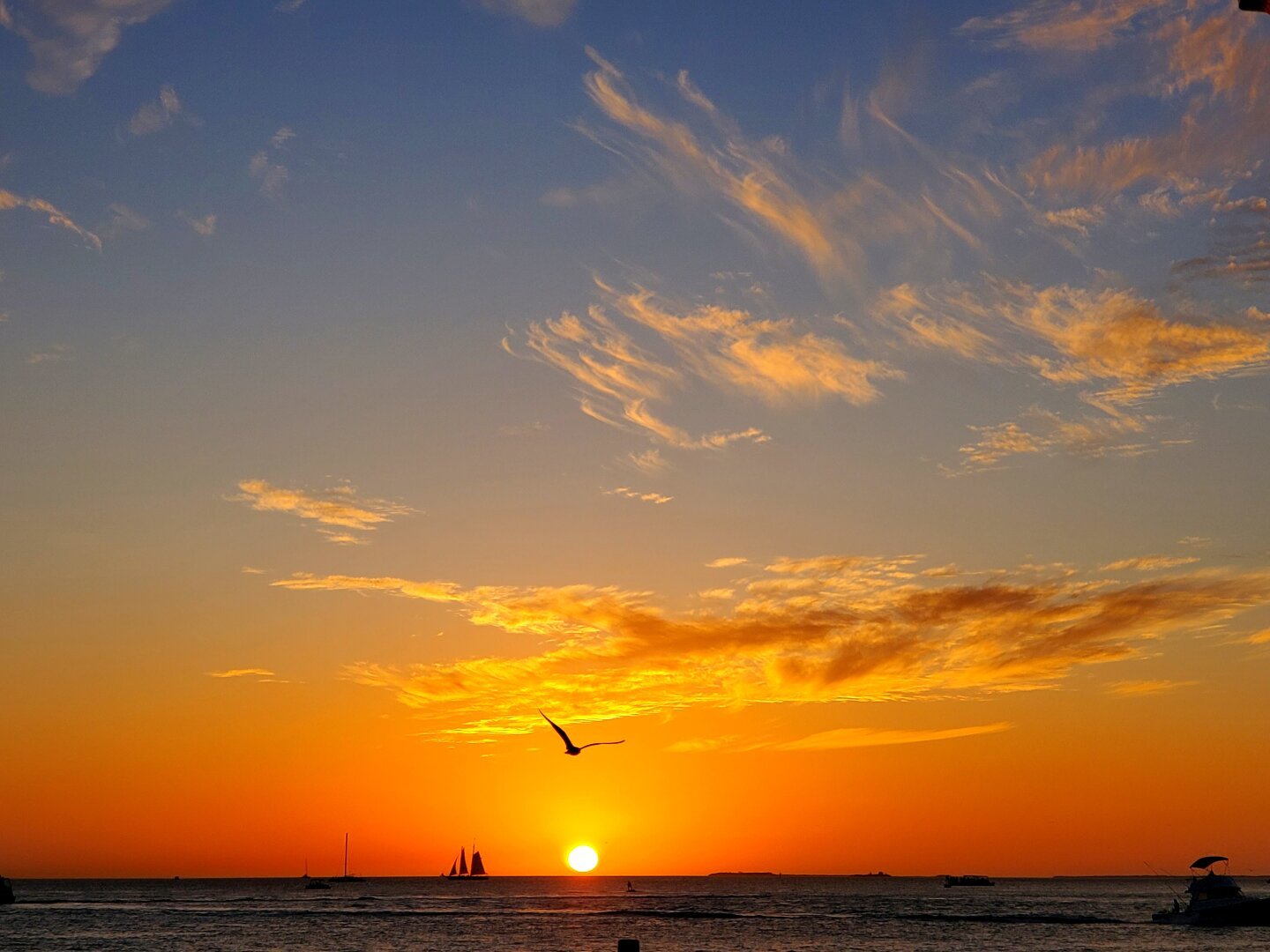 Sunset on the ocean, with bird in flight above the sun and a sailing ship on the horizon.