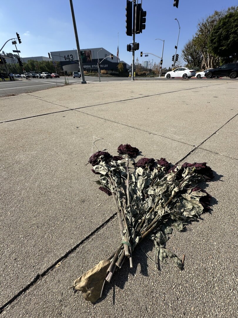 A bouquet of dead roses in the foreground (bottom right) on the sidewalk. A road signal, Stage 43 of Universal Studios, and the sky are visible in the background.