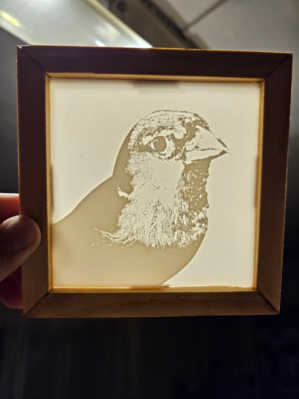 A 3D printed litophane of a sparrow called Chiri.